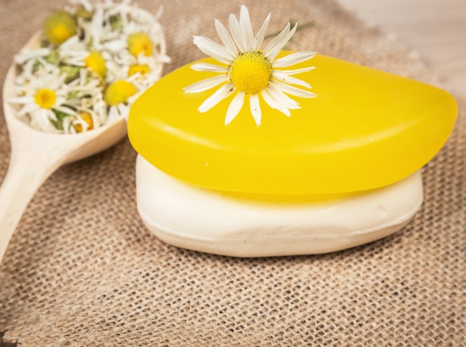 453670059775885550.jpg 453670059775885550.jpg